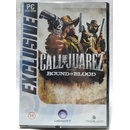 Hry na PC Call of Juarez: Bound in Blood