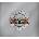 Guns N' Roses - Greatest Hits (CD) (0602498621080)