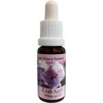 PHI Essences Детоксикация - Есенция Дива ябълка № 10, капки 15 ml (10 CLASSIC)