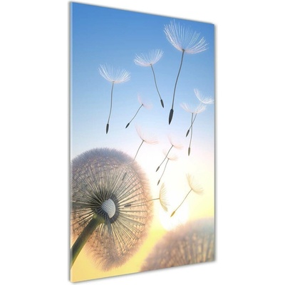 Vertikálny fotoobraz na skle Púpava 50x100 cm
