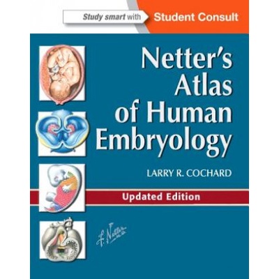 Netters Atlas of Human Embryology