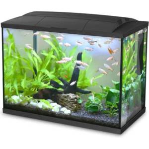 HAILEA Аквариум HAILEA K45 - 45 литра, 44, 5 x 29 x 44, 7 см, осветление, филтър
