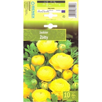Seklos Лютиче Жълто Ranunculus - 10 бр луковици