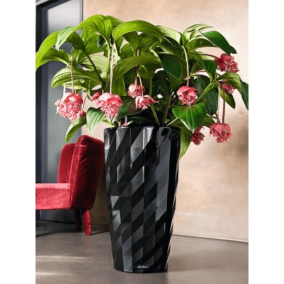 Lechuza Kvetináč Diamante Premium čierny 40x75 cm