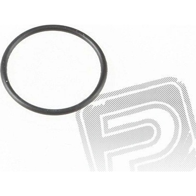 ASP 06111 těsnění zadního víka 06A