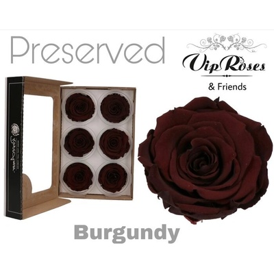 Стабилизирана вечна роза VIP Burgundy