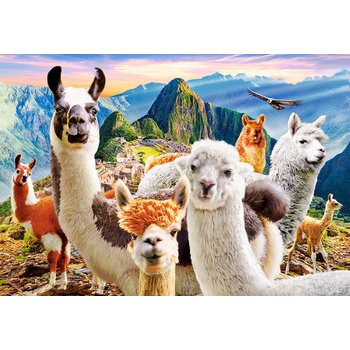 Image 1 of Castorland - Puzzle Llamas Selfie 1000 - 1 000 piese