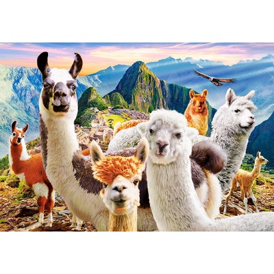 Castorland - Puzzle Llamas Selfie 1000 - 1 000 piese