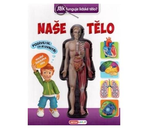 Naše tělo