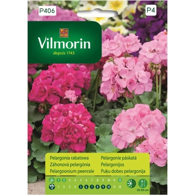 Pelargonie páskatá Vilmorin Premium 10 semen