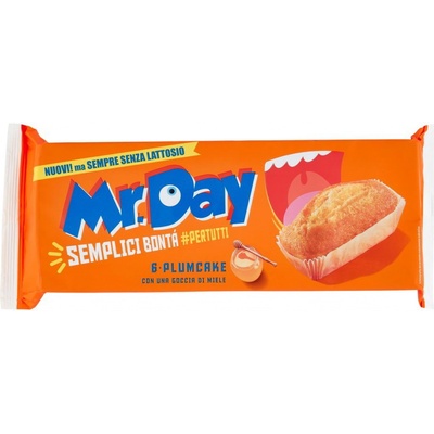 Mr Day Plumcake 190 g
