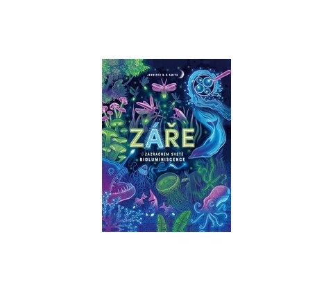 Záře