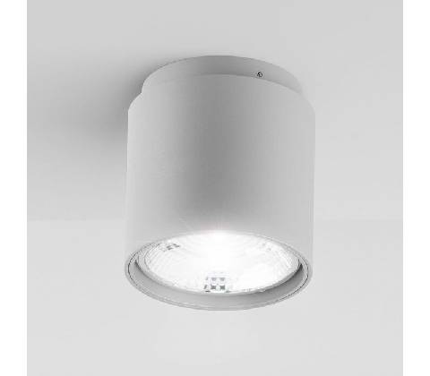 Rendl R10162