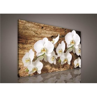 Obraz na plátne, rozmer 100 x 75 cm, biela orchidea na dreve, IMPOL TRADE PP414O1