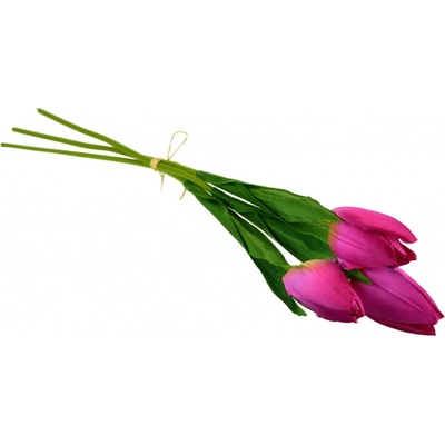 Svazek 3 ks tulipánů vínové 50 cm