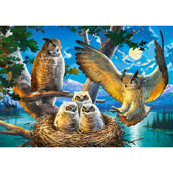 Image 1 of Castorland - Puzzle Owl Family II - 500 piese