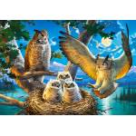 Castorland - Puzzle Owl Family II - 500 piese