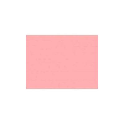 Rosco 109 Light salmon