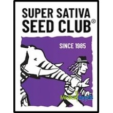 Super Sativa Seed Club Strawberry Chemdawg OG semena neobsahují THC 3 ks