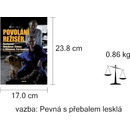 Povolání režisér