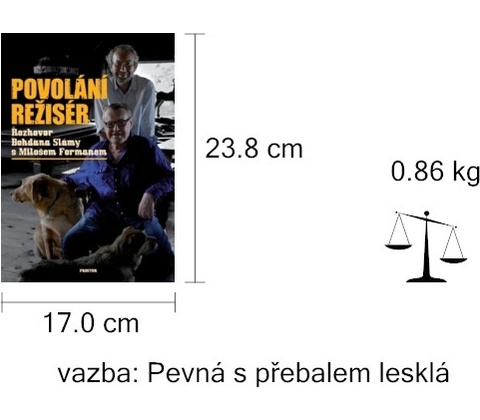 Povolání režisér