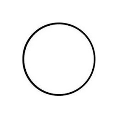 Aquanova NPF-10 O-Ring