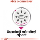Royal Canin Exigent 85 g