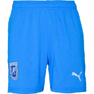PUMA Ucv shorts 152