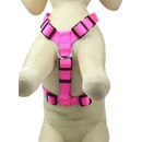 animALL Postroj popruhový