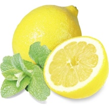 Sentiotec Saunová esencia Mint and Lemon 100 ml