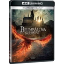 Filmy Fantastická zvířata: Brumbálova tajemství 4K BD