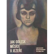 Jak odlesk měsíce v jezeře. Česká teorie a kritika umění v genderových souvislostech, 1865–1945 - Libuše Heczková, Martina Pachmanová, Petr Šámal