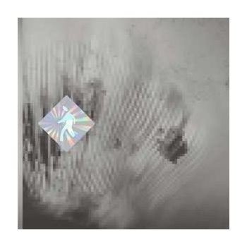 Discovery Zone - Quantum Web LP