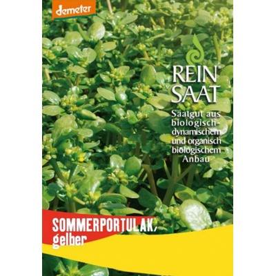 ReinSaat Portulaka zeleninová 1 bal.