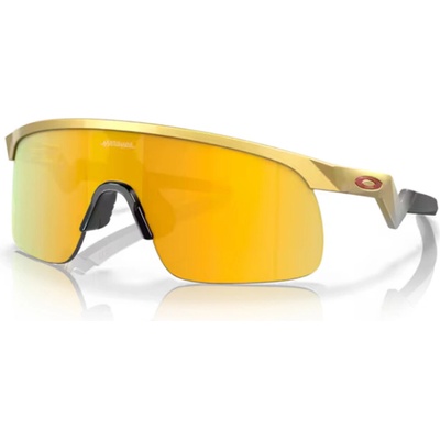 Oakley 90100823