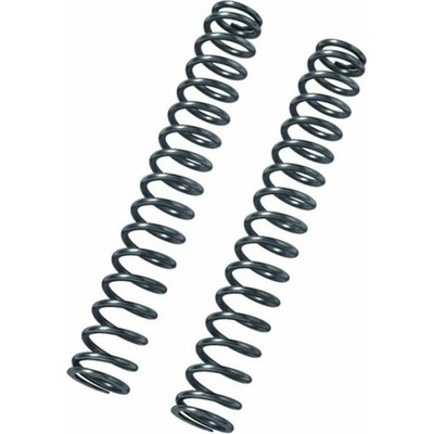BITUBO Fork springs kit BITUBO K=0.60 + 2 Lt. Oil
