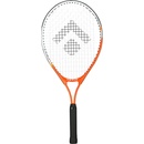 ARTIS STANDARD 25