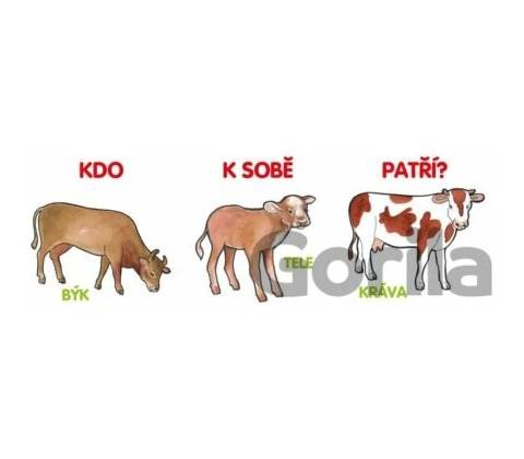 Kdo k sobě patří?