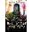 Independently Published Kinky Secrets of Alice Trilogy | Melinda Duchamp