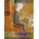 Leonora Carrington