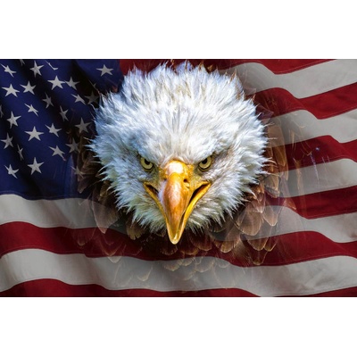 DIMEX ART Флизелинов фототапет американско знаме и орел 375 x 250 см