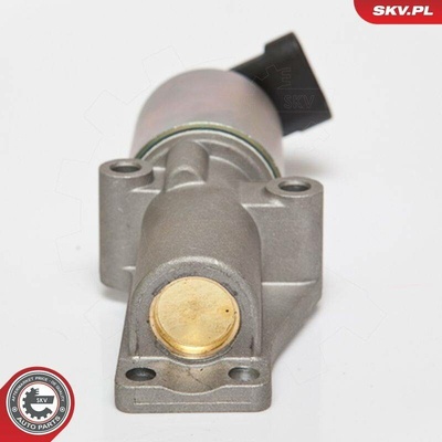 AGR-Ventil ESEN SKV 14SKV065