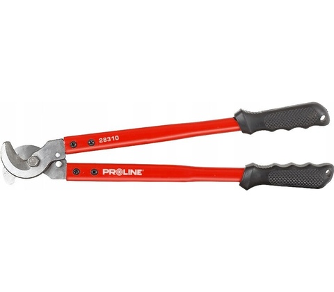 Proline 28312