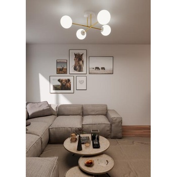 Image 1 of Emibig Magnum 1234/4