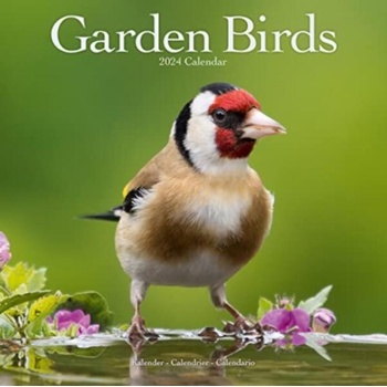 Garden Birds Calendar 2024 Square Birds Wall Calendar - 16 Month