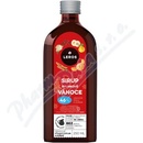 Leros Sirup Bylinkové Vianoce 250 ml