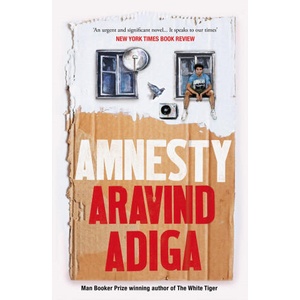 Amnesty (ISBN: 9781509879052)