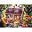 Ravensburger - Puzzle Little Red Riding Hood - 1 000 piese