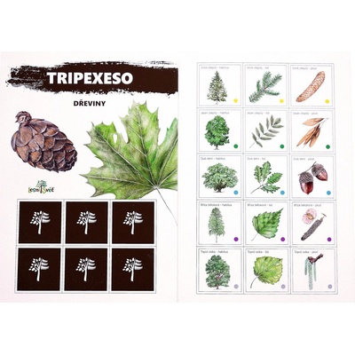 Lesní svět Papírové tripexeso Naše stromy