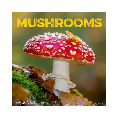 Mushrooms 12 X 12 Wall 2026